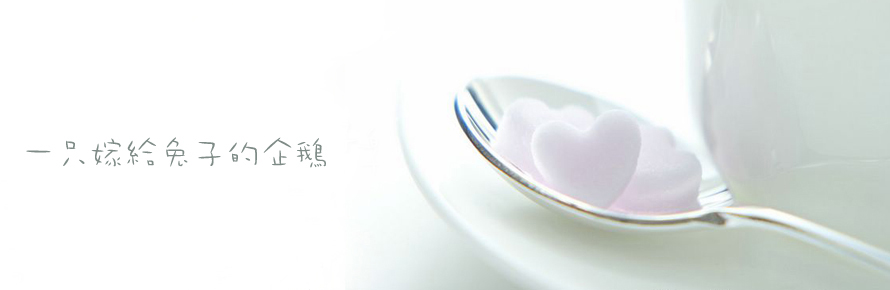 header photo